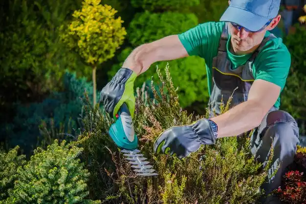 landscaping services University